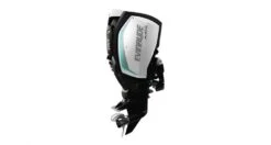 2019 Evinrude E TEC G2 Engines 225 H.O. H225LH