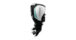 2019 Evinrude E TEC G2 Engines 175 HP C175PX